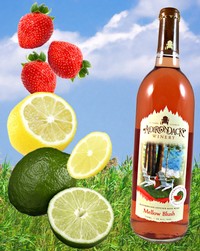 Make your own Mellow Blush Wine-arita!